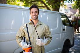 Best Termite Inspection and Treatment  in Fruitport, MI